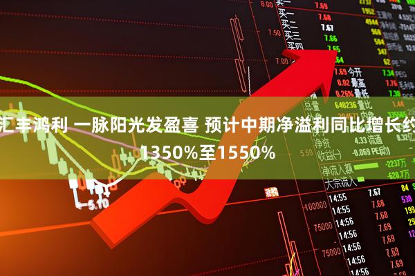 汇丰鸿利 一脉阳光发盈喜 预计中期净溢利同比增长约1350%至1550%